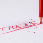 Somatische Stress Regulation
